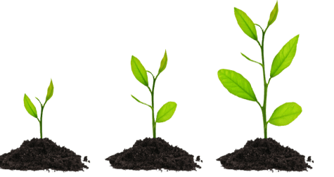 Ecommerce Application development services